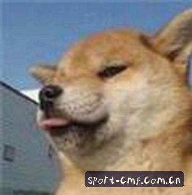 王鹏